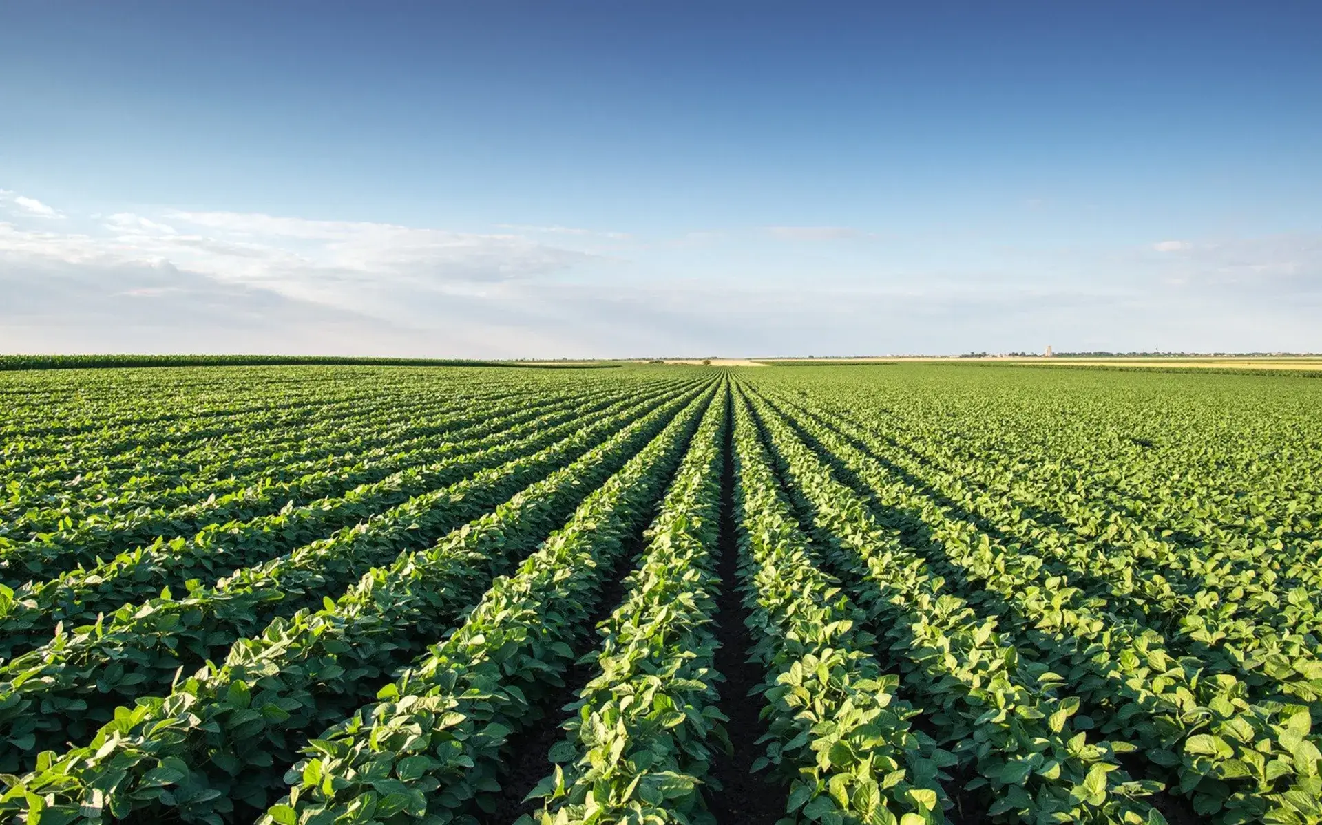 agriculture solutions